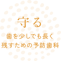 守る 歯を少しでも長く残すための予防歯科