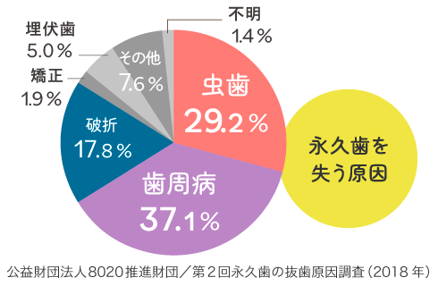 公益財団法人8020推進財団／第2回永久歯の抜歯原因調査（2018年）