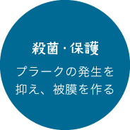 殺菌・保護：プラークの発生を抑え、被膜を作る